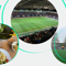 New Client Involvement Activities